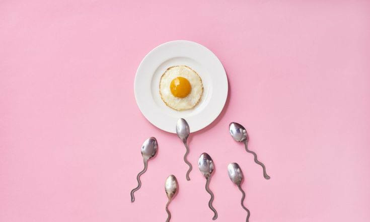Menstrual Phases
