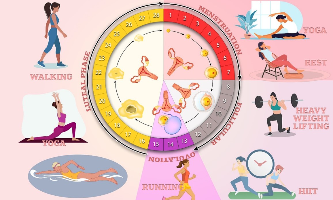 Exercise and Menstrual Health